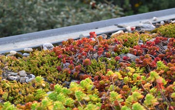 the cost of South Common green roof installation