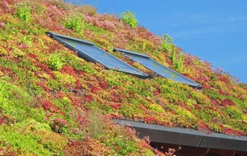 South Common living roof systems